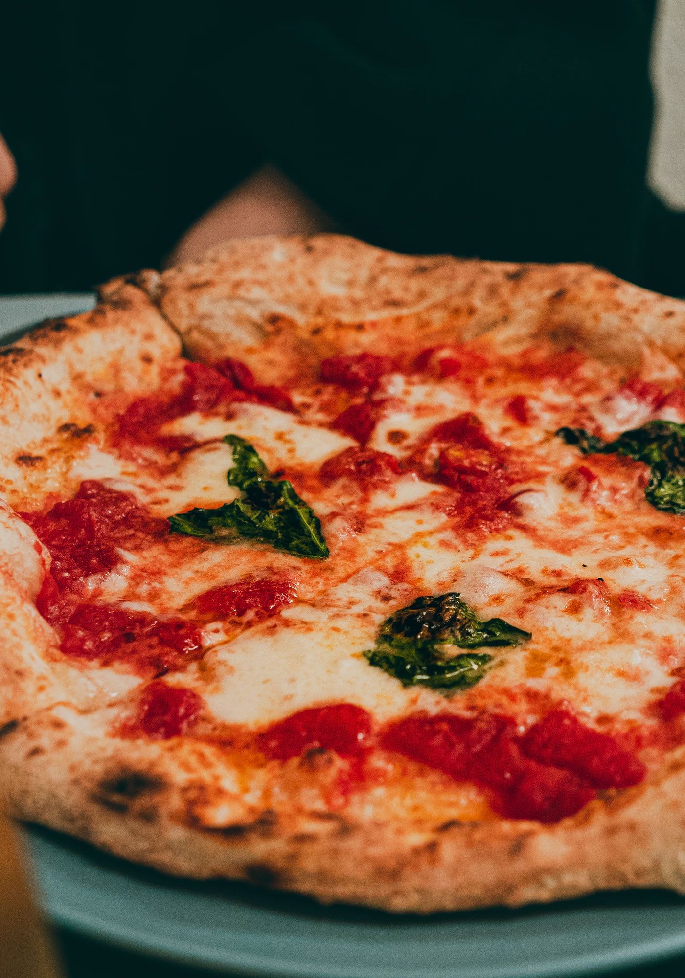 Classic Cheese - Santos Wood Fired Pizza Classic Cheese